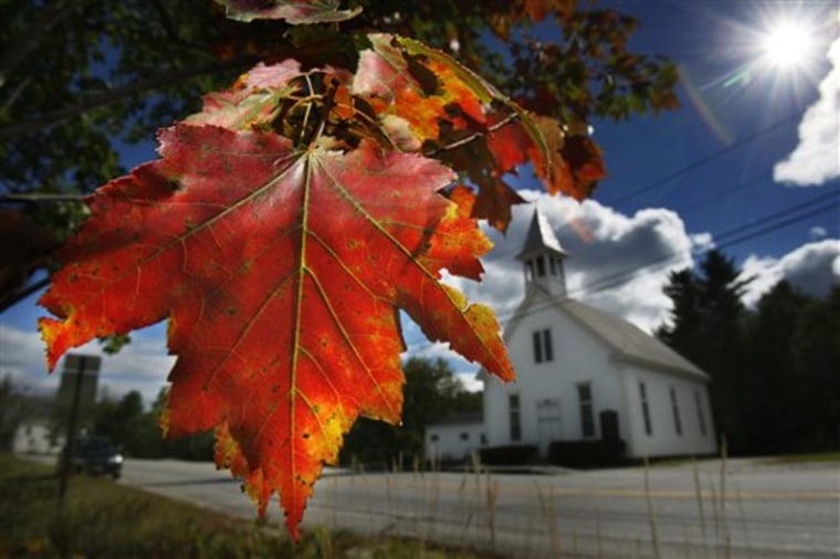 A maple tree shows its fall colors on Friday in Woodstock, Maine. A vast network of county foresters, volunteers and others contribute their observations to state tourism officials, who in turn work up "foliage forecasts" published online and elsewhere to let leaf-peepers know where to find the best fall foliage.